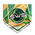 SWS - 1ª Temporada da Liga Gamers Club - Série S 